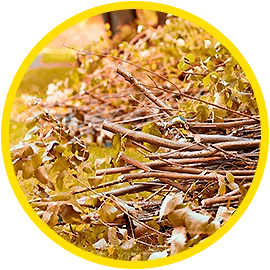 Gartenabfall und Wurzelwerk - 