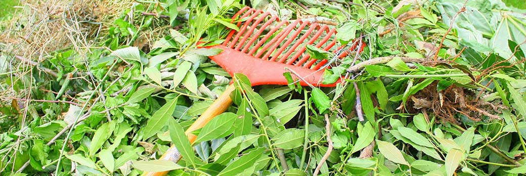 Gartenabfall sicher und fachgerecht mit Container entsorgen